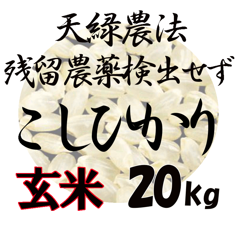 藍藻育ち 天緑農法 こしひかり 20kg 残留農薬250項目 放射能測定も すべて検出せず 藍の舞 あいのまい 高LPS 無農薬米 あす楽対応 広島 【送料無料（一部地域除く）】令和5年度産 2023