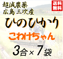 【送料無料】 こわけちゃん　令和3年産 広島三次産 超減農薬 ひのひかり 特別栽培 3合×7袋　玄米か白米の選択可 あす楽対応　2021