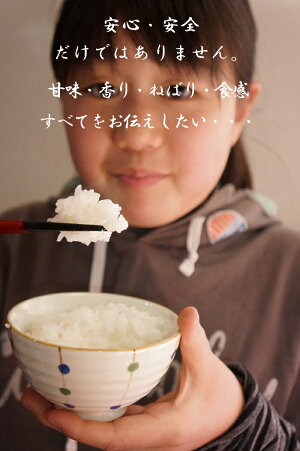 新米【送料無料】平成30産広島三次産超減農薬ひのひかり特別栽培20kg(5kg×4)あす楽対応2018