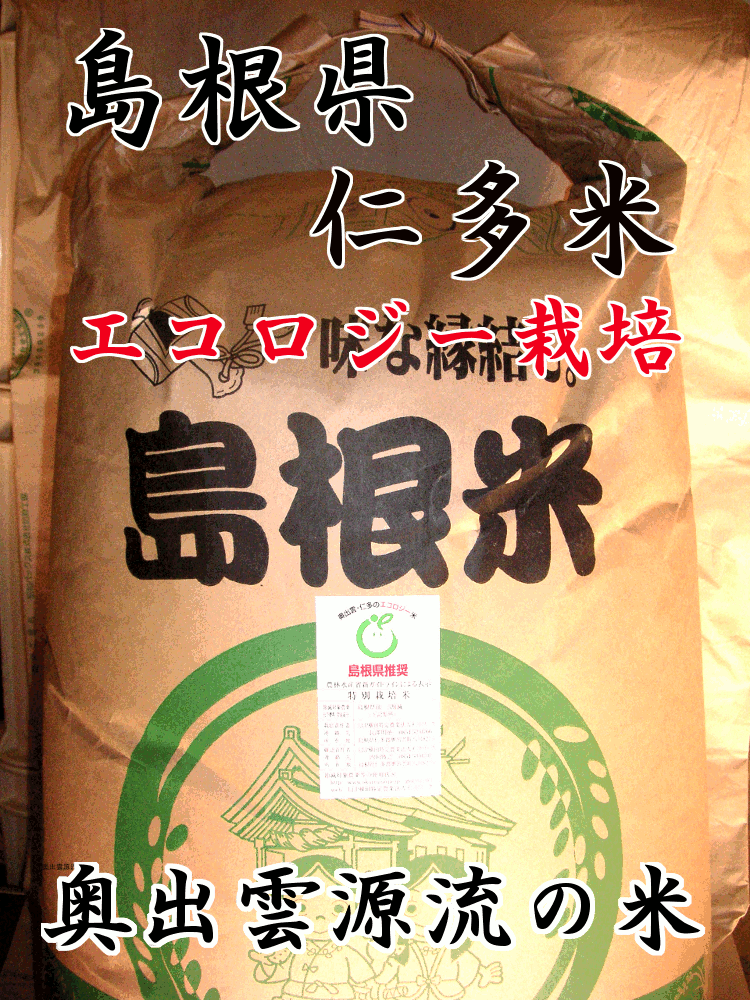 【送料無料（一部地域除く）】 島根県 仁多産 減農薬 こしひ