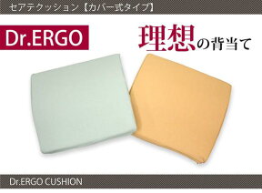 【送料無料】Dr.ERGO理想の背当て低反発クッション