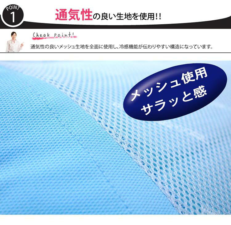 【Dr-Erugo-Cool】うたた寝クッション 結晶で冷やす ホールド 冷却マット 付き 冷感マット クールマット 冷感 ひんやり 冷却 クッション 冷たい 洗える カバー ギフト プレゼント 02P03Dec16 [2]