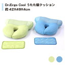 【Dr-Erugo-Cool】うたた寝クッション 結晶で冷やす ホールド 冷却マット 付き 冷感マット クールマット 冷感 ひんやり 冷却 クッション 冷たい 洗える カバー ギフト プレゼント 02P03Dec16