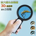 拡大鏡 高倍率 30倍 LEDライト付き 虫眼鏡 ルーペ 見やすい 拡大レンズ 調光3段階 ルーペ 手持ちルーペ 読書ルーペ 軽量 読書 昆虫観察 宝石鑑定 精...