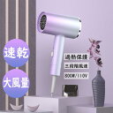 ヘアドライヤー ドライヤー 速乾 冷熱風 おすすめ マイナスイオン 大風量 恒温 ヘアケア 3段階 800W 低騒音 過熱保護 高級 プレゼント