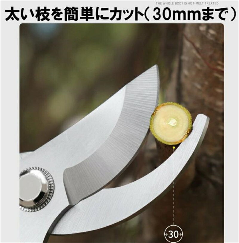 アウトレット 剪定ばさみ はさみ 30mm ハサミ 庭 ガーデン 園芸 枝切り 枝切りばさ...