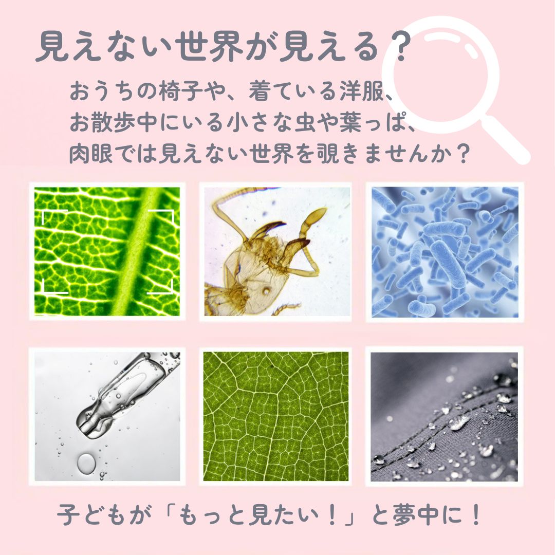 HIRO Online Shopのデジタルハンディ顕微鏡 リトルーぺ 顕微鏡カメラ 顕微鏡小学生 用 電子顕微鏡 虫眼鏡 子供 キッズ ハンディ 小学生 充電式 顕微鏡カメラ 観察 カメラ 自由研究 夏休み 観察 顕微鏡 デジタル プレゼント 子供用 ルーペ｜アングル2