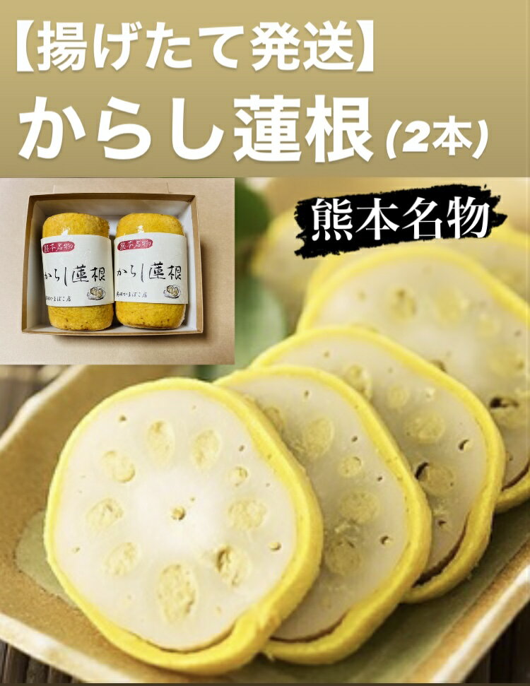 【揚げたて発送、からし蓮根 (2本)】熊本県郷土料理 （280g×2本） 辛子れんこん　からしれんこ ...