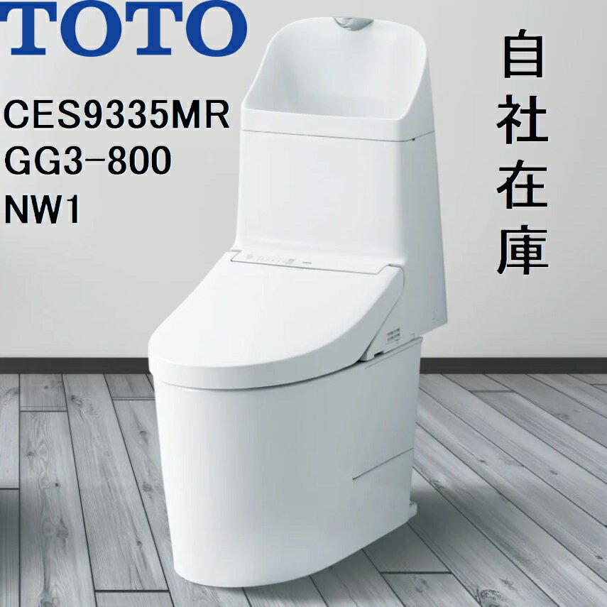 CES9335MR TOTO NW1 åȰηشGG3-800 ǥб ӿ305540mm