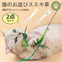 【2点セット】猫じゃらし 猫おもちゃ ねこじゃらし 猫のお遊び ススキ草 鈴 釣り竿 運動不足解消 ストレス解消 頑丈 1本釣竿付き 一人遊び 超軽量 室内運動...