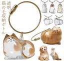 猫 犬 ペット毛 保存ボトル 6個セット キーホルダー 猫の毛収納ボトル 遺毛入れ 透明 クリルボトル ペットメモリアル ボトル 猫のキーホルダー かわいい 抜...
