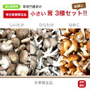 【毎日数量限定】茸農家 直送 ひるぜんきのこ 小さい茸 3種類セット 国産 しいたけ ひらたけ なめこ きのこ お徳用 お買い得 お試し 1000円ポッキリ 送料無料