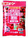 イチゴをおいしく育てる肥料200g 有機アミノ酸入り 3株用 5-7-130袋セット 同梱不可【 ガーデニング肥料 園芸肥料 いちごの肥料 家庭菜園肥料 】