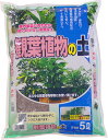 観葉植物の土 5L 【ガーデニング】