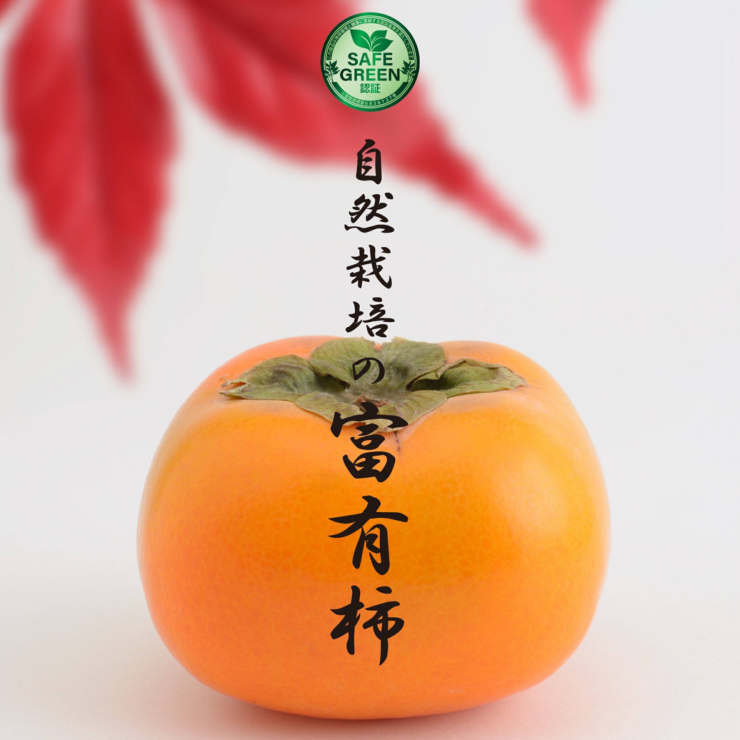 富有柿 ギフト用 贈答用 自然栽培 農薬・肥料不使用 千葉県産/小箱・大箱をお選びください