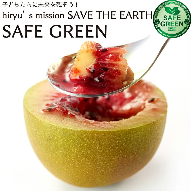 キウイ　キウイフルーツ　1kg　紅妃　レインボーレッド　化学農薬・化学肥料不使用 神奈川県産　国産