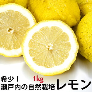 瀬戸内レモン 1kg　自然栽培 (無農薬・無肥料) 広島県産