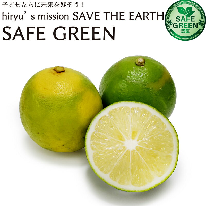 小笠原の母島レモン 化学農薬・化学肥料不使用 小笠原村母島産 1kg 3kg 5kg 10kg れもん 檸檬 国産レモン ノーワックス