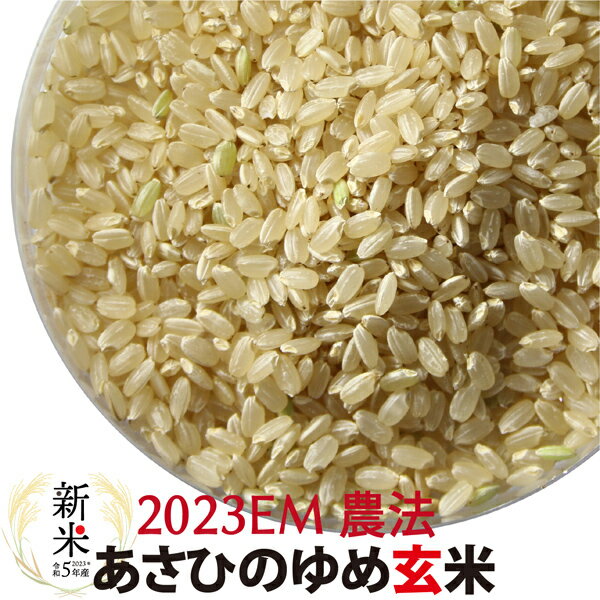 全国お取り寄せグルメ食品ランキング[玄米(181～210位)]第186位