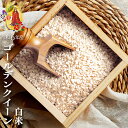 【今なら10%OFF】白米 ゴールデンクイーン 令和6年産 化学農薬・化学肥料不使用 韓国産 SAFE GREEN認証米