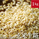 自然栽培 玄米麹 1kg