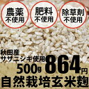 自然栽培 玄米麹 500g ★味噌作り、甘酒作りに無農薬・無肥料の生麹★