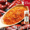 【10%OFF】グリーンチリパウダー 500gGreen Chilli Powder 青唐辛子 粉末 インド料理 スパイス ハーブ 調味料 香辛料