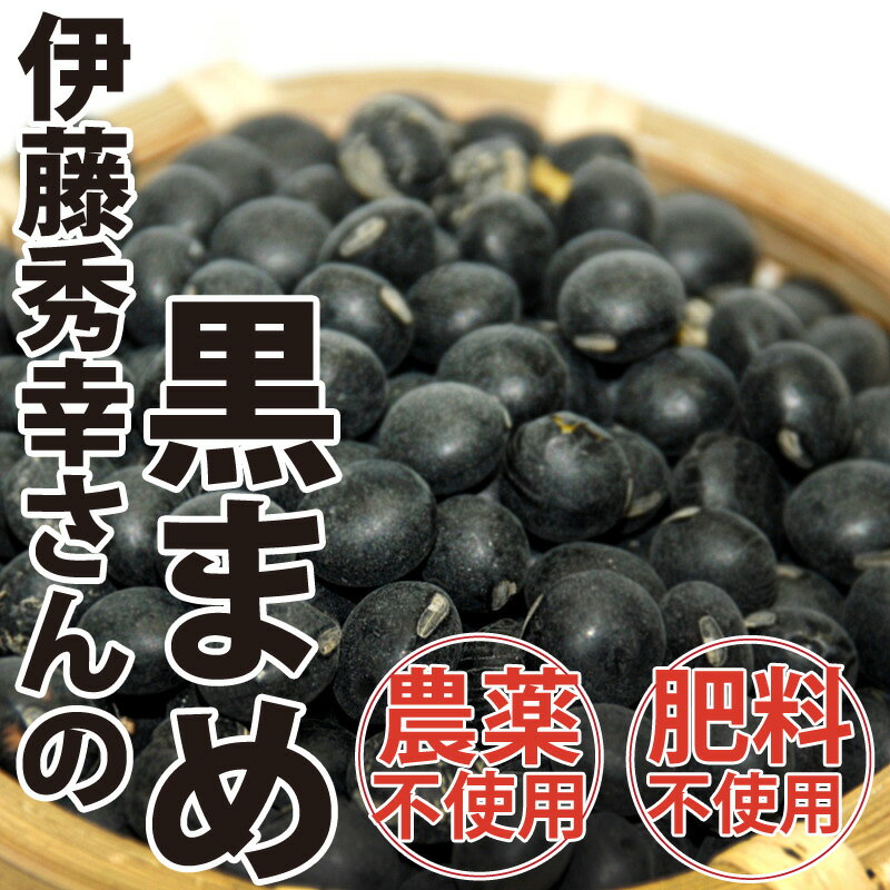 無農薬さらに無施肥　伊藤秀幸さんの黒豆　黒まめ　250g