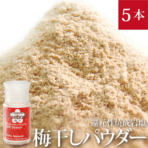 天然の焼成岩塩梅干しパウダー（ビオソルト×無農薬梅干し） 携帯用ボトルタイプ30g 5本