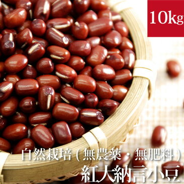 小豆 10kg 自然栽培(木村秋則式) 国産紅大納言(ベニダイナゴン)酵素玄米用におすすめ