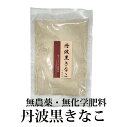 丹波黒きなこ 100g 無農薬・無化学肥料 きな粉