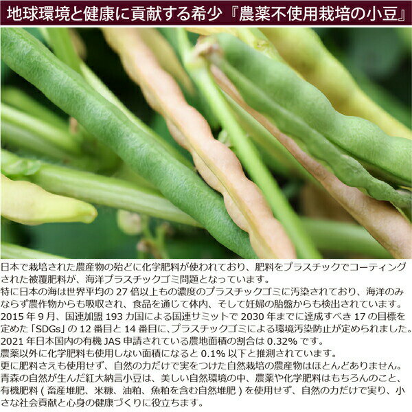 【新豆】小豆 紅大納言 農薬・肥料不使用 令和4年 青森県産 3