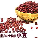 【ゆうパケット送料無料】丹波大納言小豆【美麗 900g】新豆丹波ささやま産 大納言小豆 令和5年産 希少 特大小豆 ぜんざい つぶあんに最適