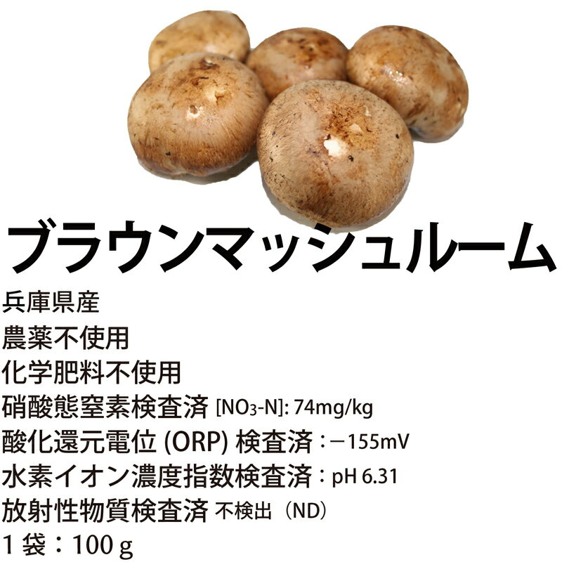 ブラウンマッシュルーム農薬・化学肥料不使用 兵庫産