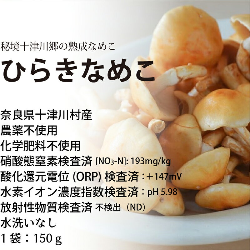 HIRYUのヒラキナメコ 約120g 農薬・化学肥料不使用 奈良産 なめこ｜アングル2
