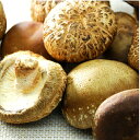 【スーパーSALE期間限定10%OFF!】原木生椎茸 原木生シイタケ 国産 農薬・化学肥料不使用 椎茸 しいたけ 生椎茸 原木生しいたけ 日本産 野菜 きのこ キノコ 茸