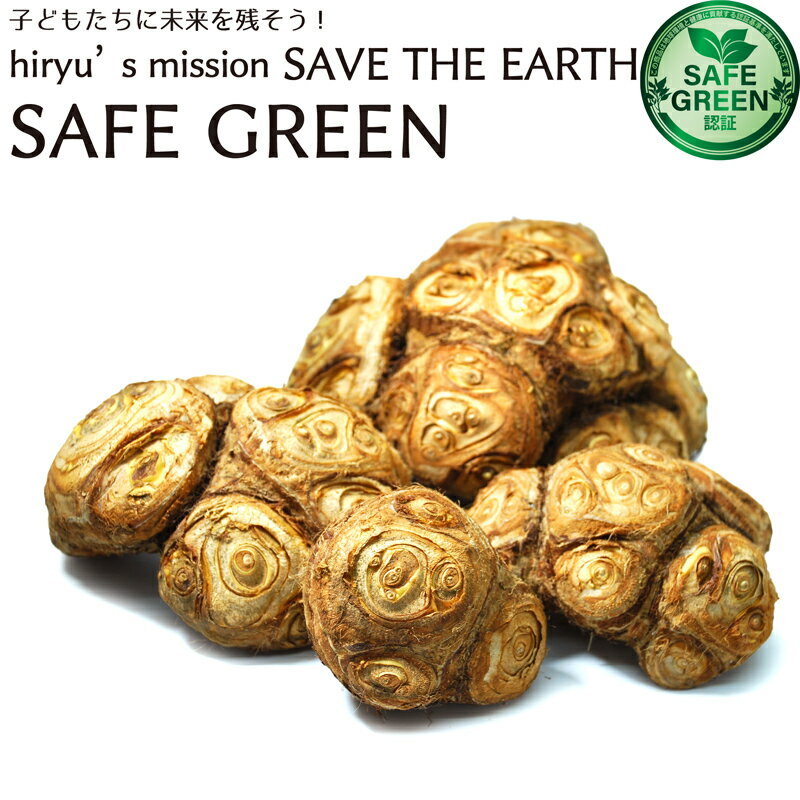 八つ頭 大小様々混合 農薬・化学肥料不使用 千葉県産 八ツ頭 やつがしら　八頭