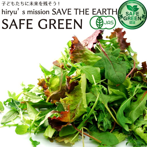 ベビーリーフ 化学農薬・化学肥料不使用 千葉産 SAFE GREEN認証 セーフグリーン認証野菜 ベビーリーフ 化学農薬・化学肥料不使用 千葉産 SAFE GREEN認証 セーフグリーン認証野菜