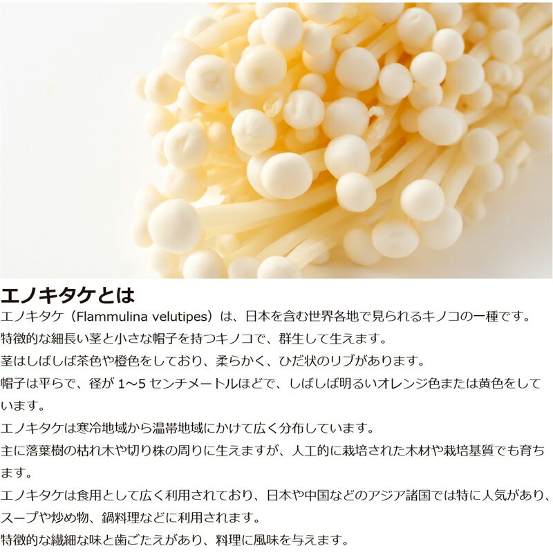 エノキ茸 約200g 農薬・化学肥料不使用 長野産