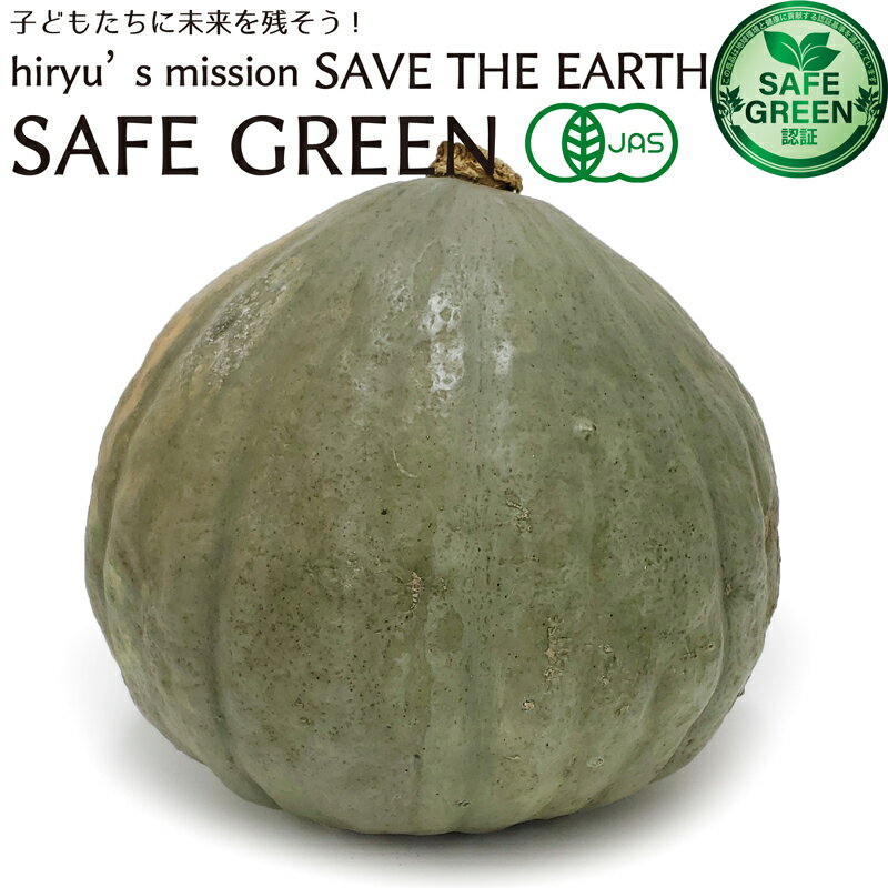 かちわり南瓜 有機JAS認定 農薬・肥料不使用 北海道産 かぼちゃ