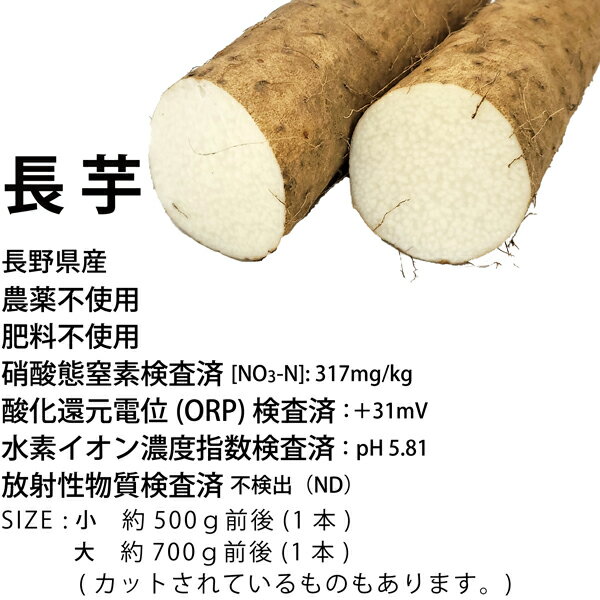 長芋 ナガイモ 農薬・肥料不使用 長野県産 3