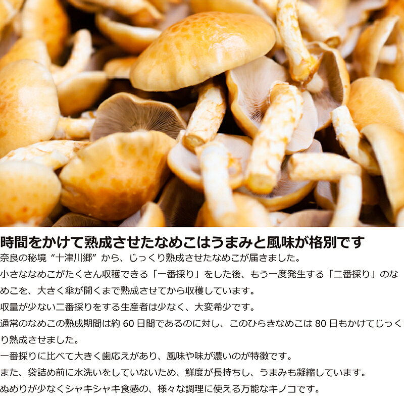 HIRYUのヒラキナメコ 約120g 農薬・化学肥料不使用 奈良産 なめこ｜アングル3