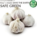 【今なら10%OFF】大蒜 ニンニク にんにく 化学農薬・化学肥料不使用 高知県産 岡山県産 等