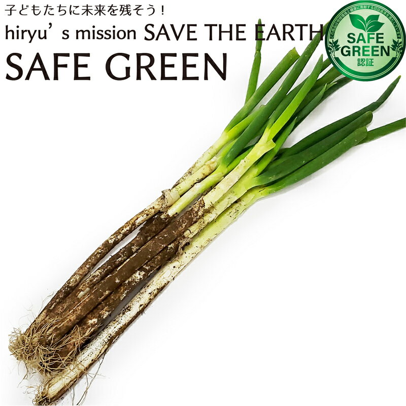 長葱 長ネギ 化学農薬・化学肥料不使用 千葉県産