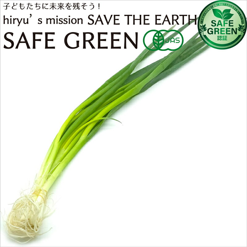 青葱 (小葱)80g 有機JAS栽培 化学農薬・化学肥料不使用栽培 国産
