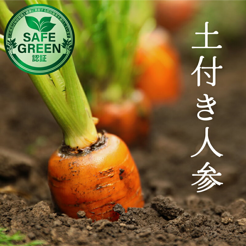 楽天市場】無農薬 にんじん 千葉の通販