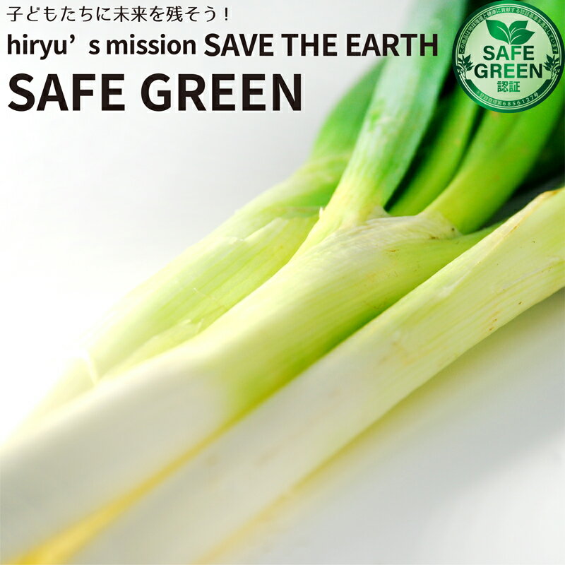 長葱 長ねぎ 白ねぎ 長ネギ 化学農薬・化学肥料不使用栽培 千葉県産 SAFE GREEN認証