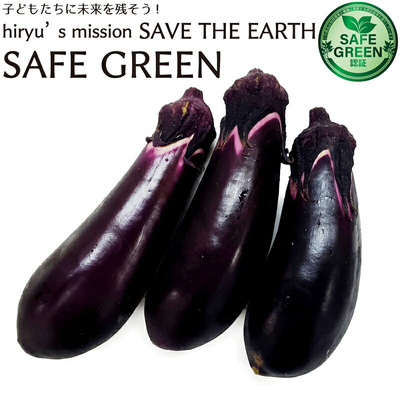 茄子 化学農薬・化学肥料不使用 千葉県産 村越農場のサムネイル