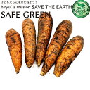泥付き にんじん 農薬・肥料不使用 北海道産 晩抽天翔 人参 ニンジン SAFE GREEN認証 セーフグリーン認証野菜