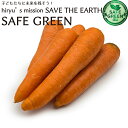 人参 ニンジン にんじん 化学農薬・化学肥料不使用 国産